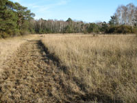 Marais ozance Saulnay tn