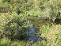 Marniere PNR Brenne tn